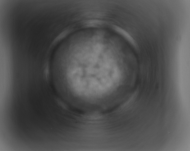 X0000100781403200807031221