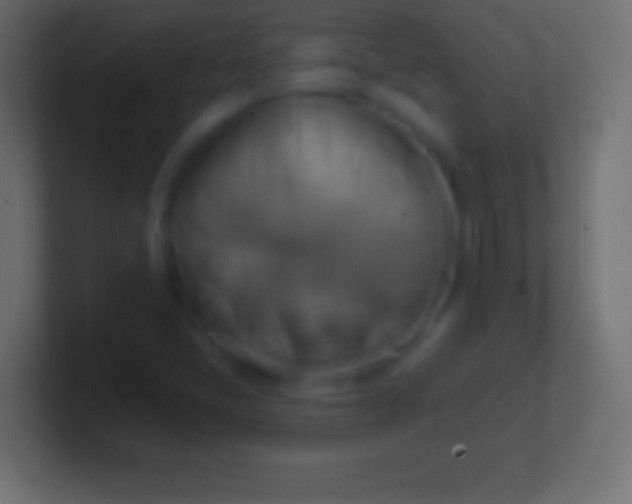 X0000100781405200807031221