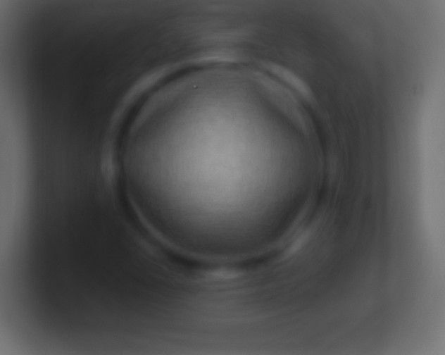 X0000100781406200807031221