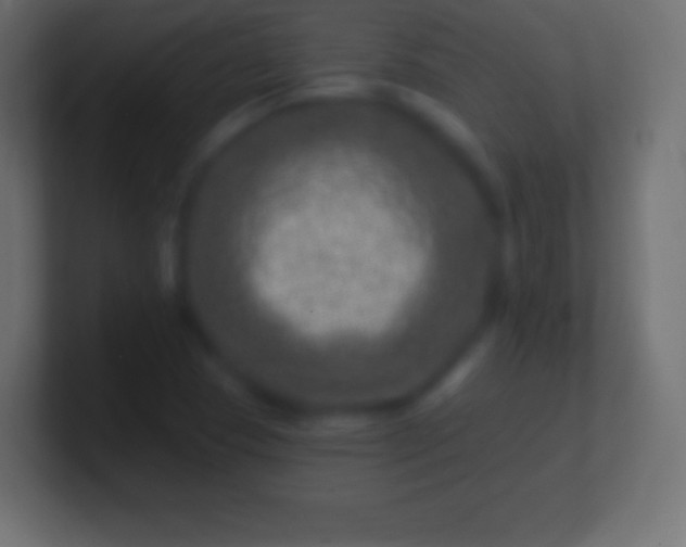 X0000100781409200807031221