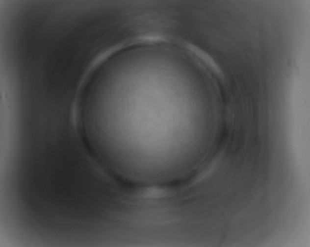 X0000100781412200807031222