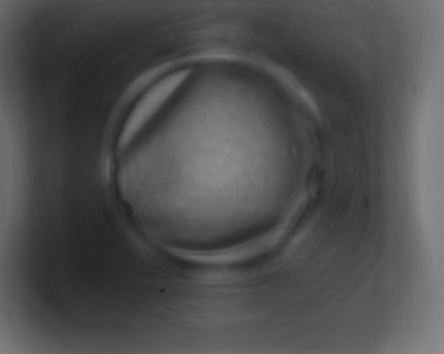 X0000100781416200807031222