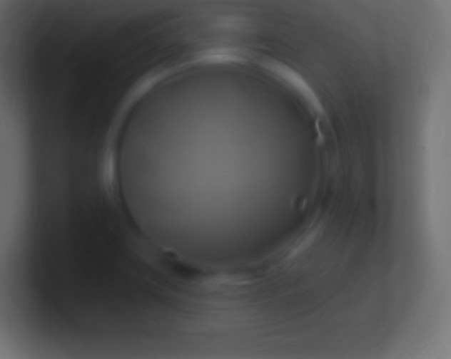 X0000100781419200807031222