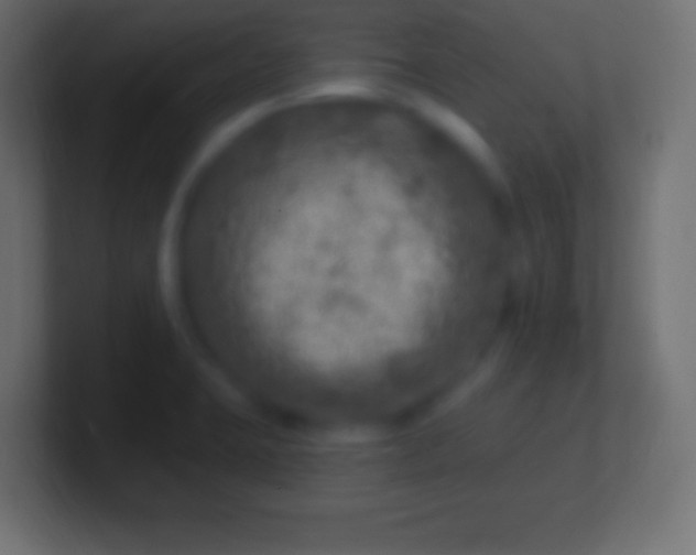 X0000100781423200807031222