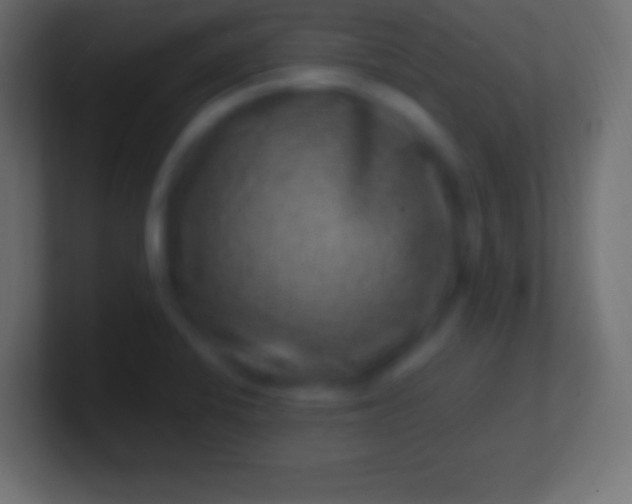 X0000100781424200807031222