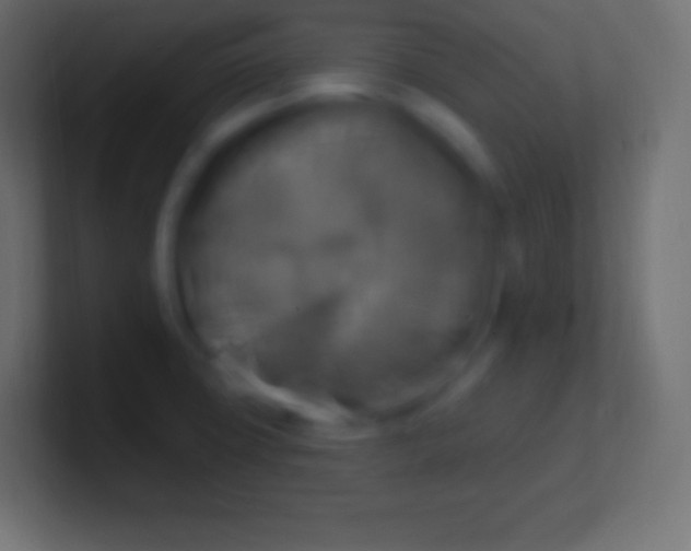 X0000100781427200807031222