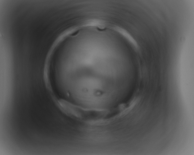 X0000100781429200807031222