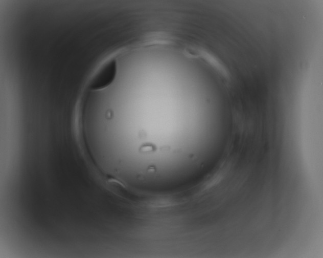 X0000100781431200807031222