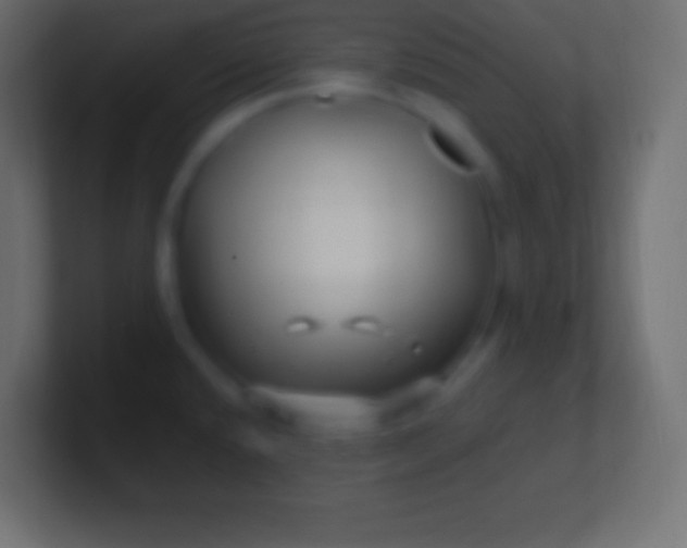 X0000100781432200807031222