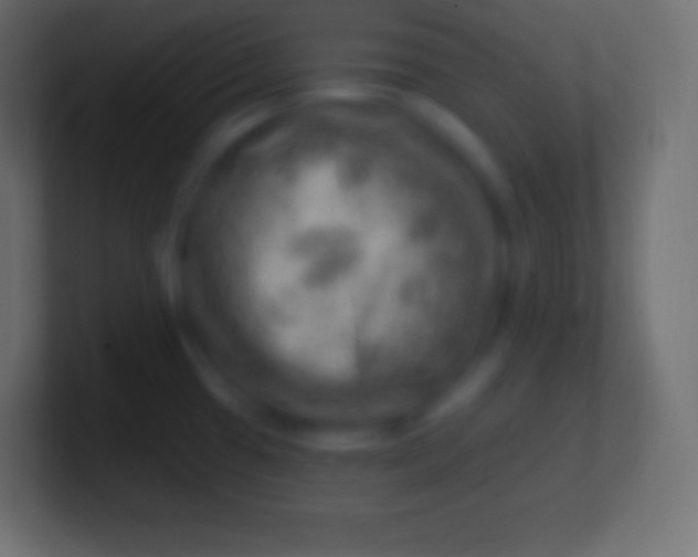 X0000100781433200807031222