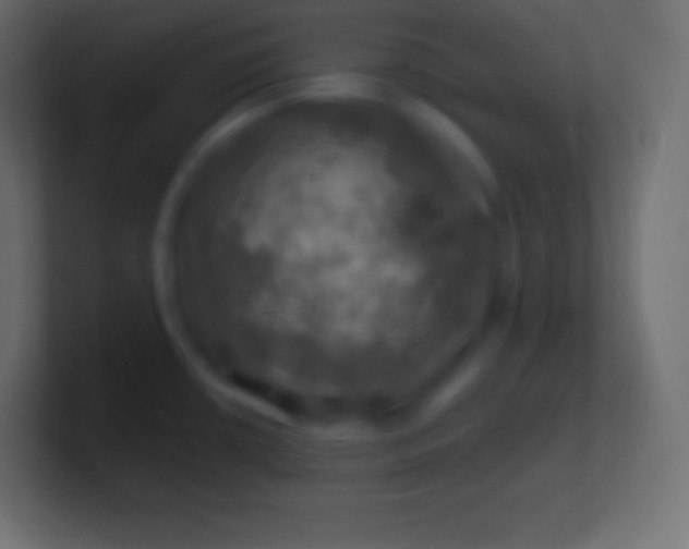 X0000100781434200807031222