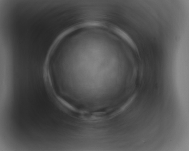 X0000100781436200807031222