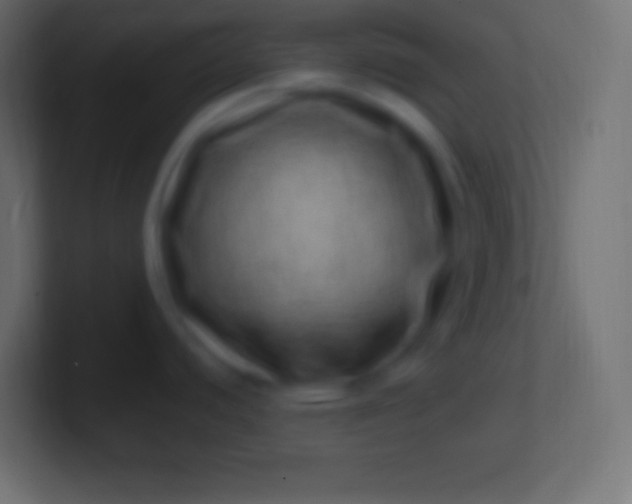 X0000100781440200807031222