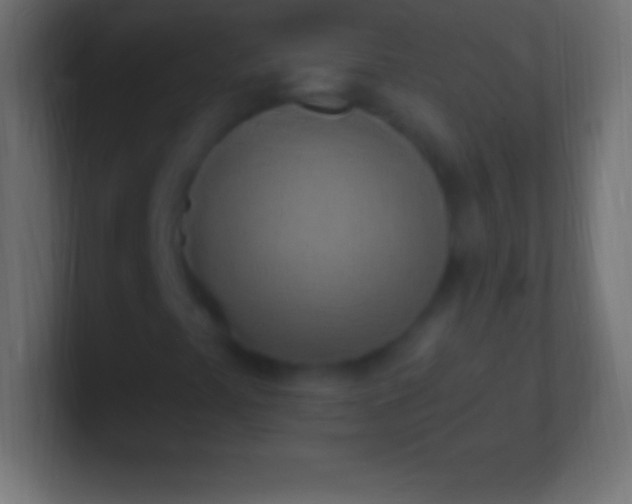 X0000100781441200807031221