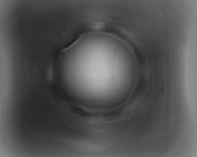 X0000100781442200807031221