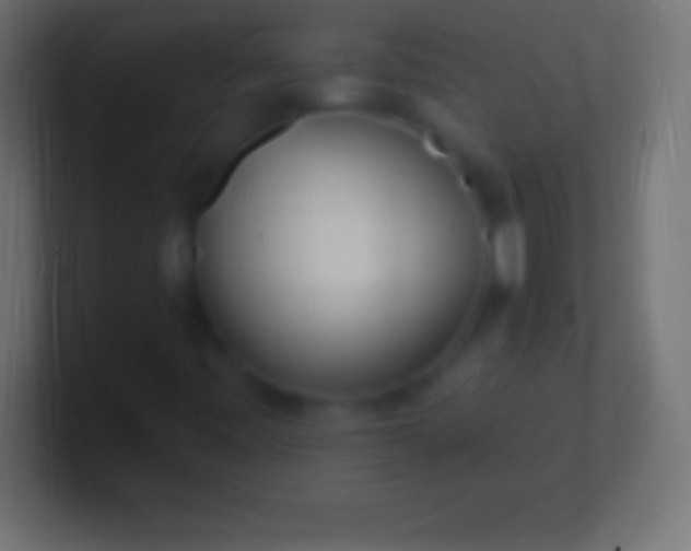 X0000100781443200807031221