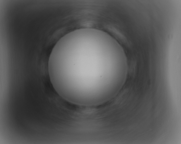 X0000100781446200807031221