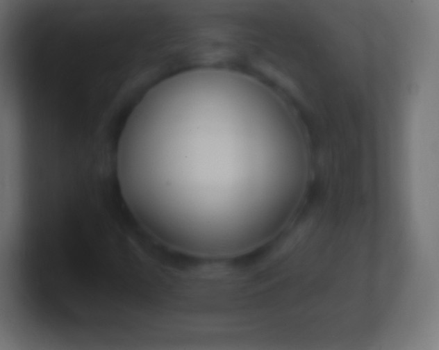 X0000100781447200807031221