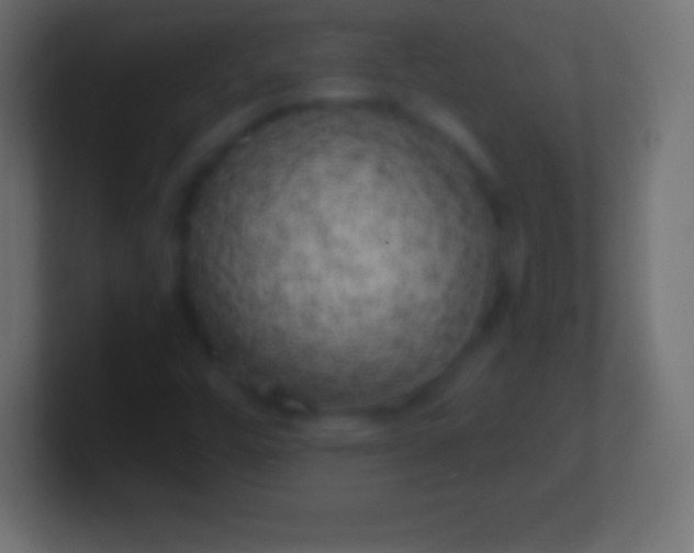 X0000100781448200807031221