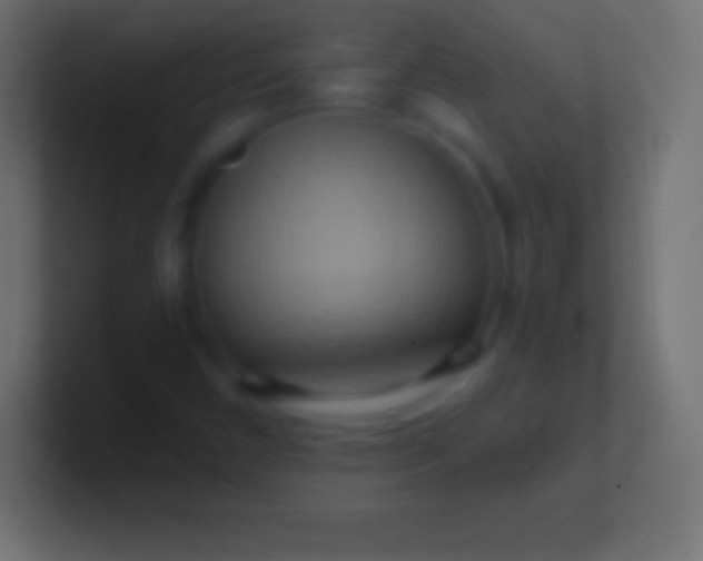 X0000100781450200807031221