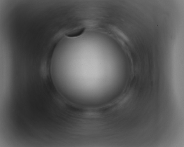 X0000100781451200807031221