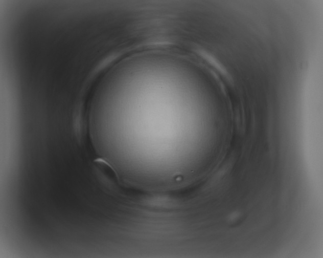 X0000100781452200807031221