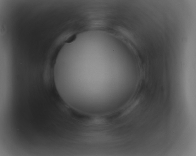 X0000100781453200807031221