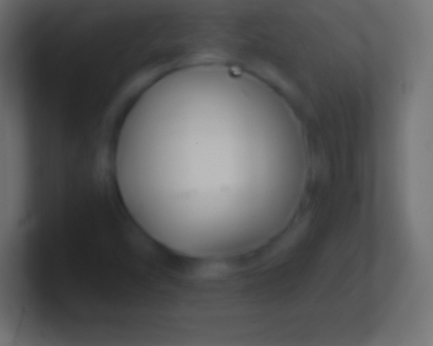 X0000100781454200807031221