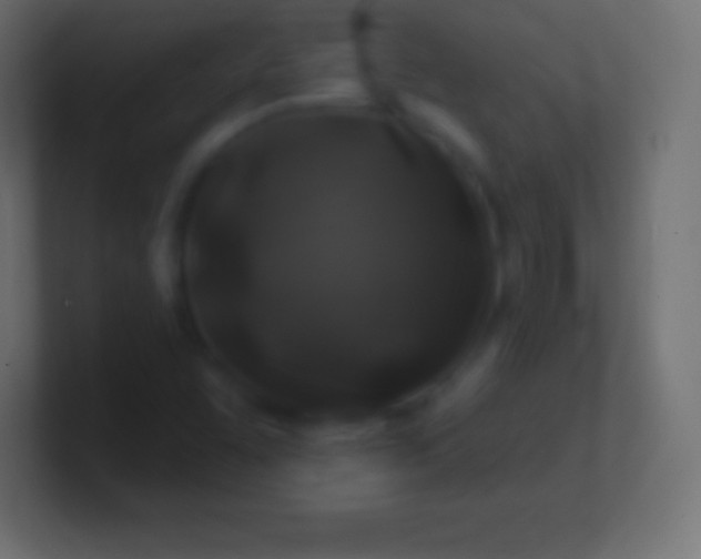 X0000100781455200807031221