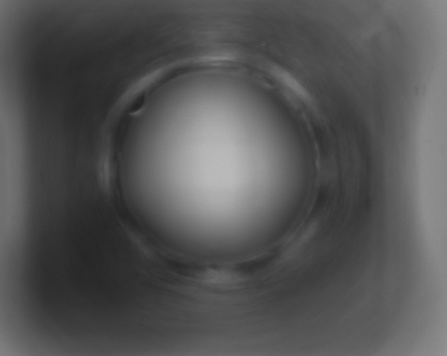 X0000100781456200807031221