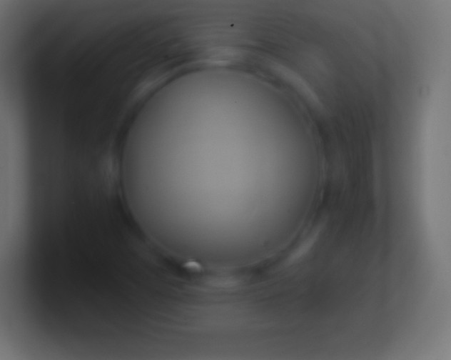 X0000100781457200807031221