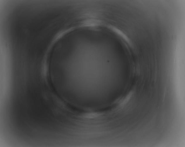 X0000100781459200807031221