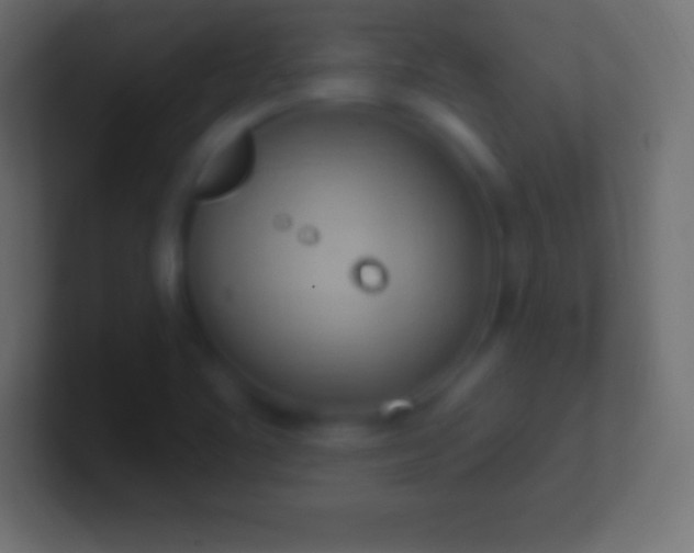 X0000100781461200807031221