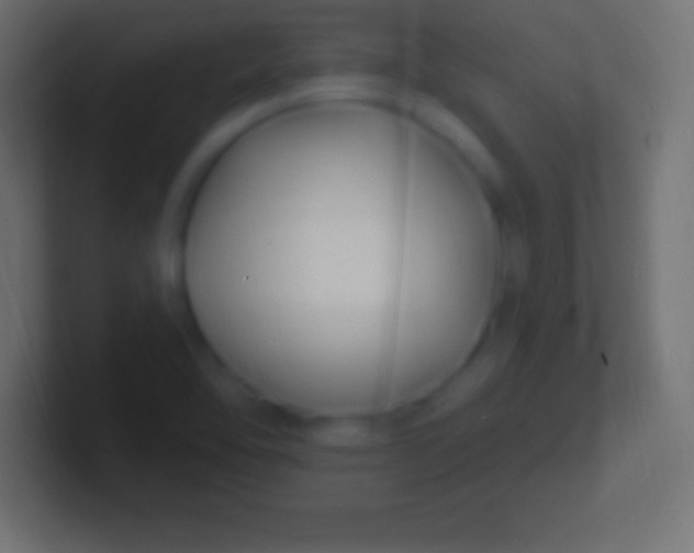 X0000100781462200807031221