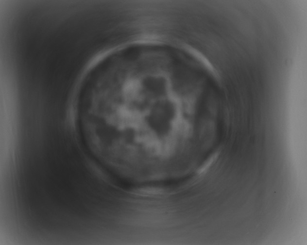 X0000100781463200807031221