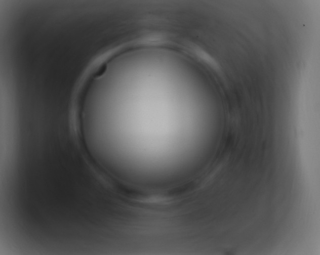 X0000100781464200807031221