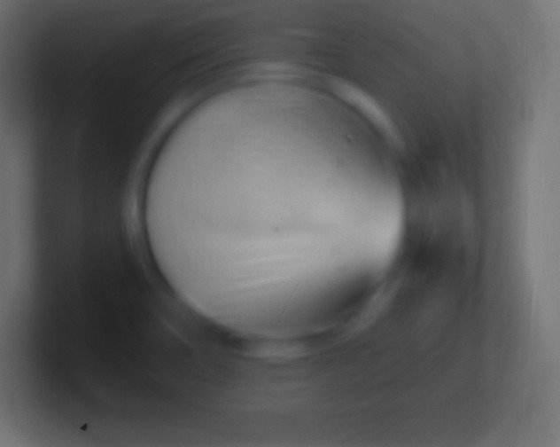 X0000100781466200807031221