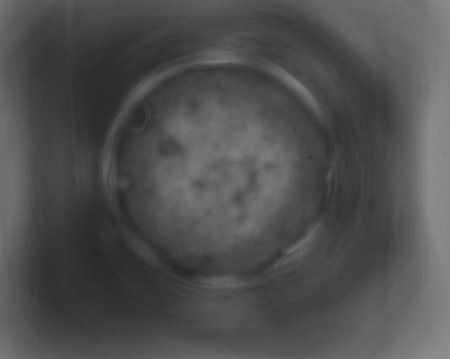 X0000100781467200807031221