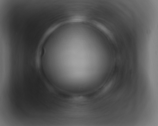 X0000100781469200807031221