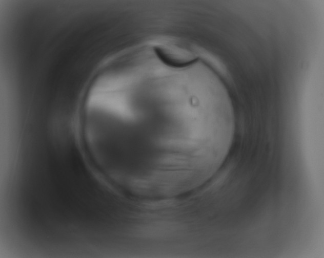 X0000100781471200807031221