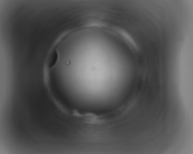 X0000100781476200807031221