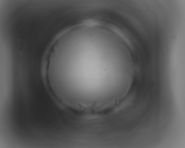 X0000100781477200807031221