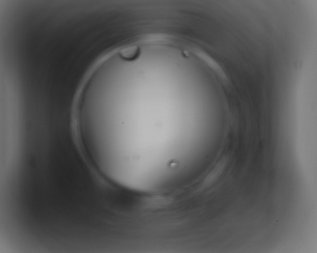 X0000100781478200807031221