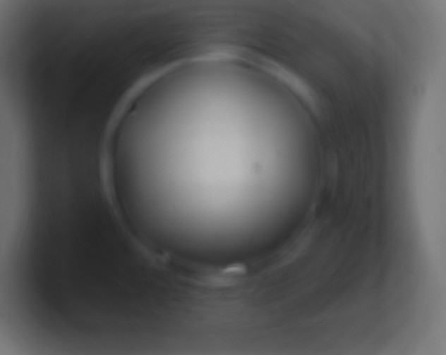 X0000100781480200807031221