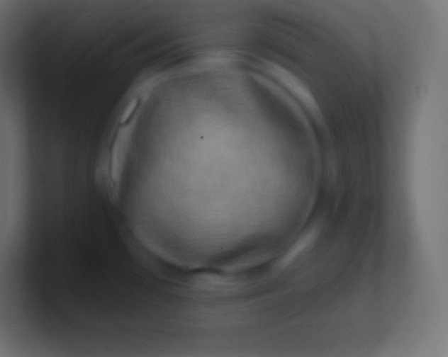 X0000100781481200807031221