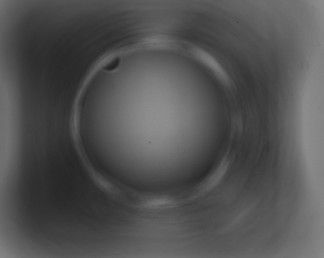 X0000100781482200807031221