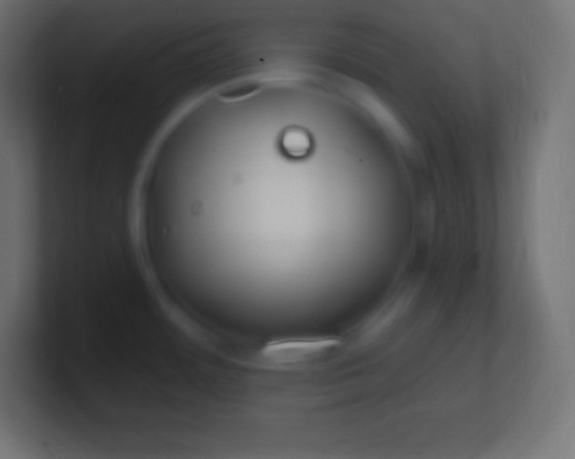 X0000100781484200807031221