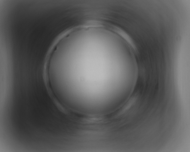 X0000100781485200807031221