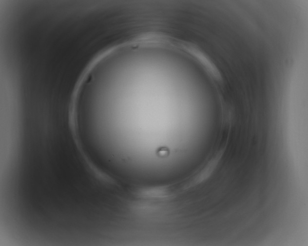 X0000100781486200807031221