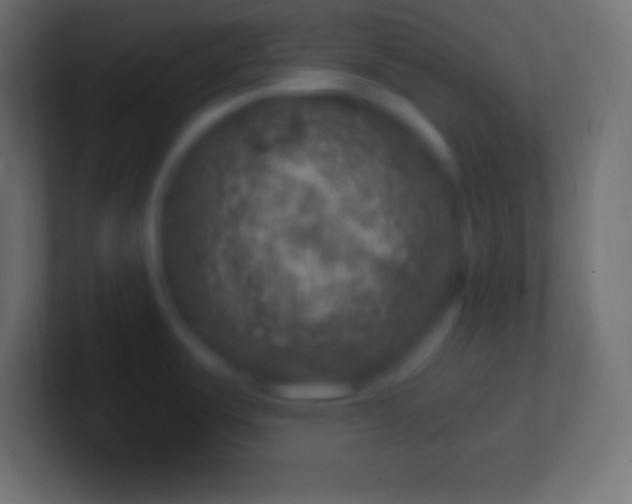 X0000100781487200807031221